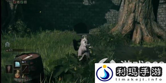 艾尔登法环神皮祷告书有什么用(老头环神皮祷告书作用介绍)