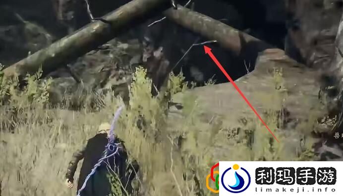 美杜莎魔弓怎么获取 如何通过任务链获取高级奖励？