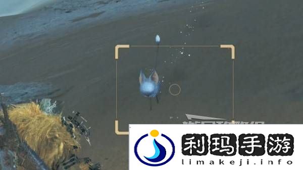 怪物猎人荒野沙野流星位置在哪   沙野流星位置