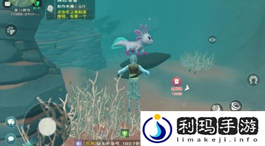 创造与魔法天空岛只能飞上去吗(特全面创造与魔法天空岛精英怪出现时间说明)