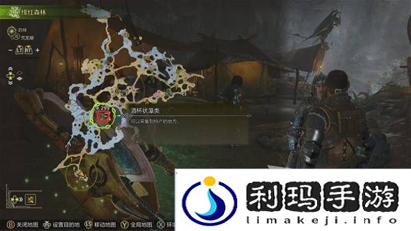 怪物猎人荒野黄金鱼怎么钓    钓黄金鱼位置一览图片3