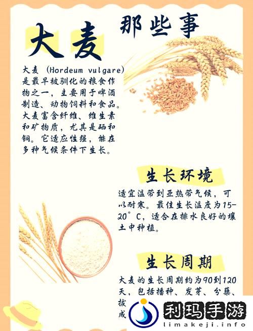 麦子互换背后的意义