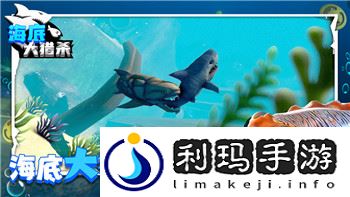 《化妆换装合成》游戏玩法全解析：融合创意与策略的独特体验！