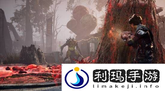 本站