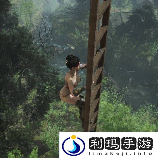 本站
