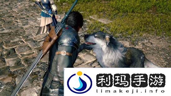 本站