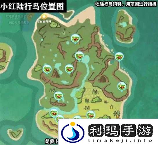 绝美魔法陆地鸟在哪里