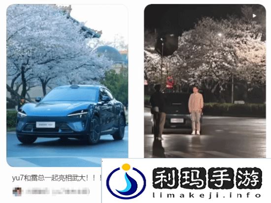 本站