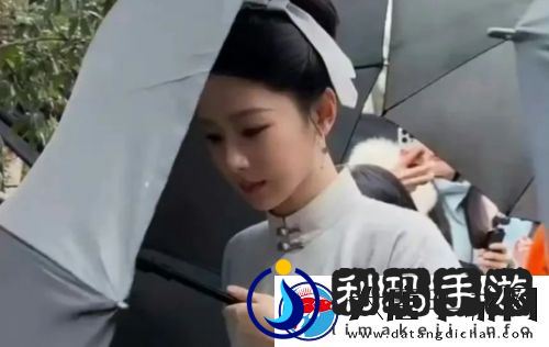 杨紫新剧家业未播先火