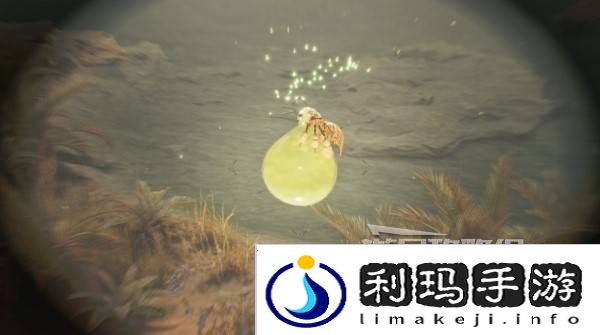 怪物猎人荒野大回复蜜虫位置在哪  大回复蜜虫捕获路线图片5