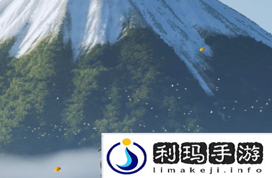 本站