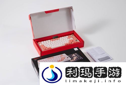 街头篮球4