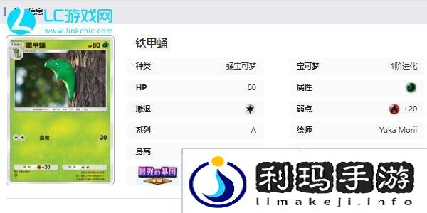 宝可梦TCG Pocket卡牌图鉴