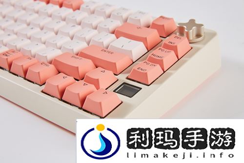 街头篮球5