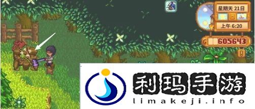 星露谷物语蕨菜怎么获取