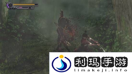 本站