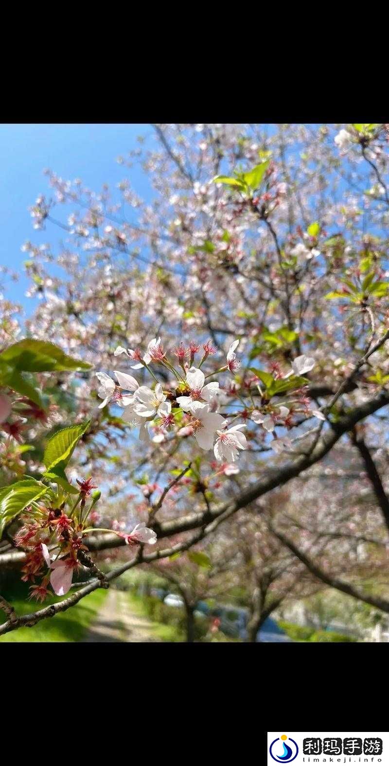 如何在工作中保持热情并避免过度劳累