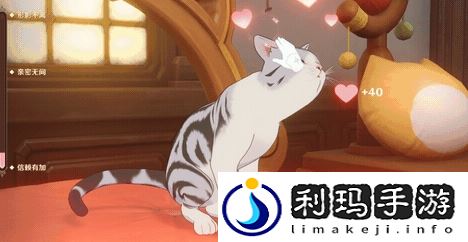 茸茸城堡大喵险怎么玩 探索未知领域