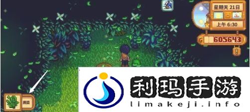 星露谷物语蕨菜怎么获取