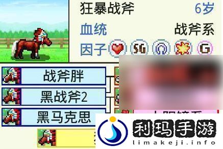 【背包管理】赛马牧场物语最强马配种公式