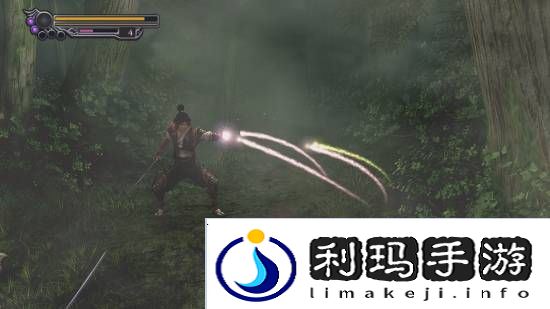 本站