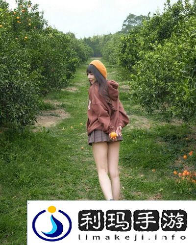 成品网站1688免费入口网页版怎样?带你畅游便捷购物新世界,真是省时省力又省心啊!