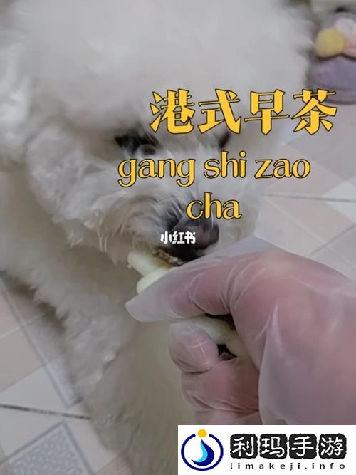 狗与人胶配方20分钟