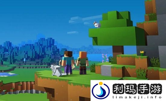 我的世界精准采集有什么用