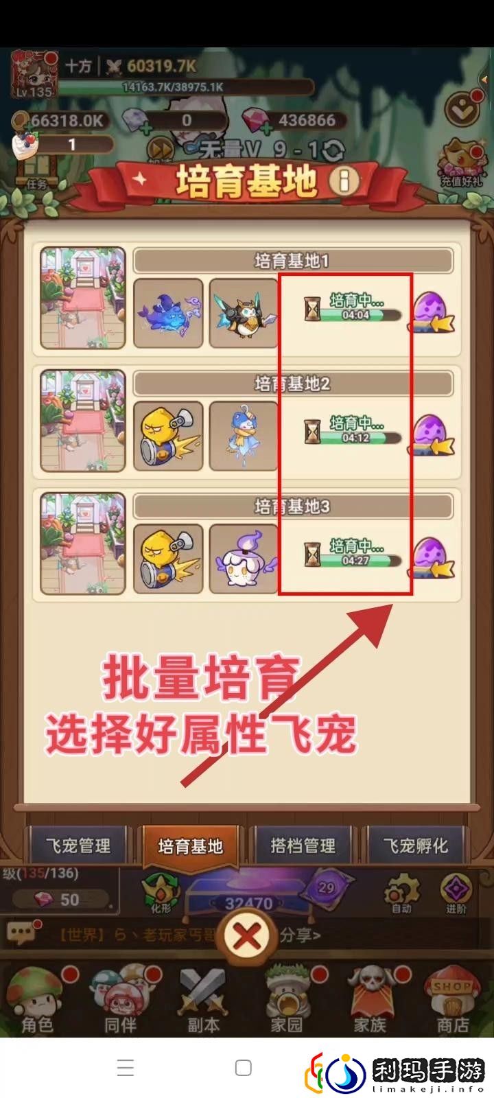 飞宠管理及云缠天梯试炼补充建议 明确自己的角色发挥最大作用