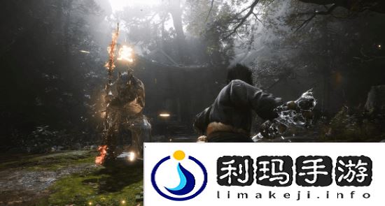 本站