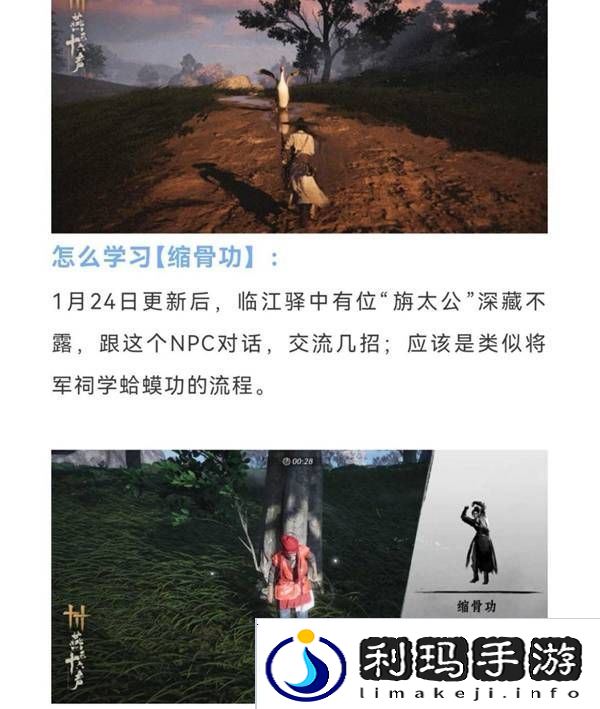 燕云十六声缩骨功在哪    缩骨功获得攻略图片2