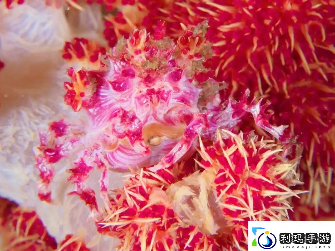 神奇海洋2月13日答案最新2025