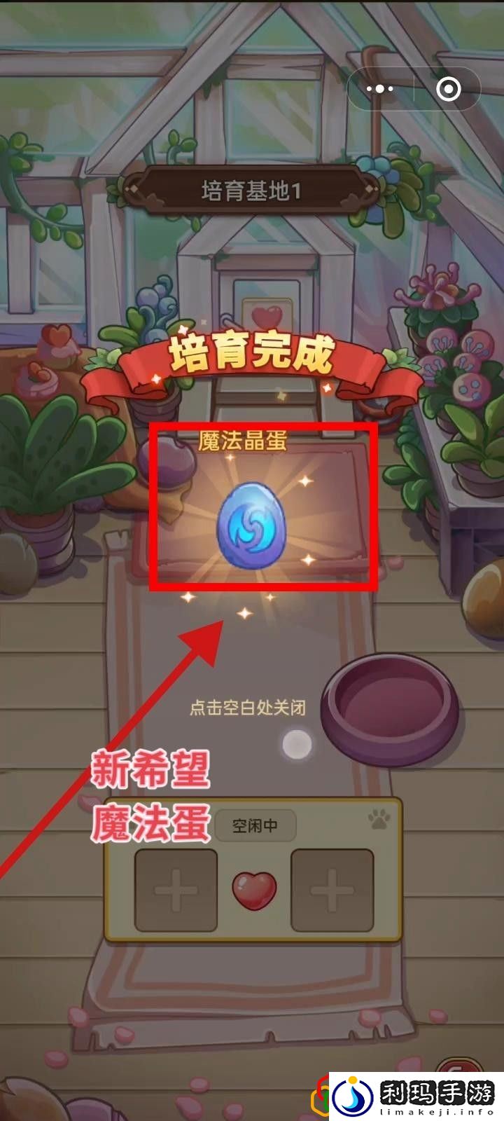 飞宠管理及云缠天梯试炼补充建议 明确自己的角色发挥最大作用