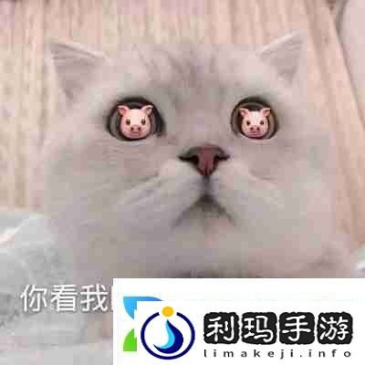 兜风吗妹妹表情包