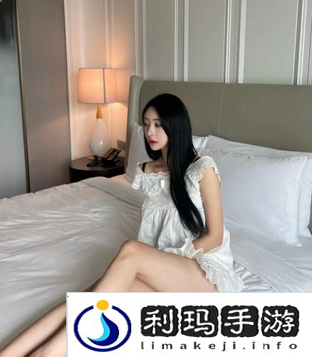 成品免费ppt网站入口：轻松获取精美幻灯片，助你演示更出彩！