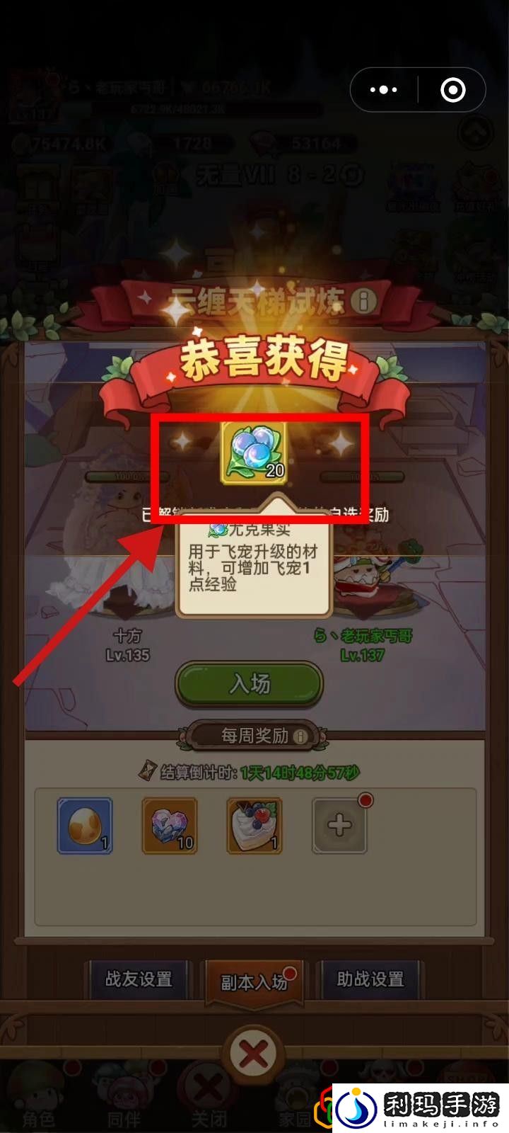 飞宠管理及云缠天梯试炼补充建议 明确自己的角色发挥最大作用