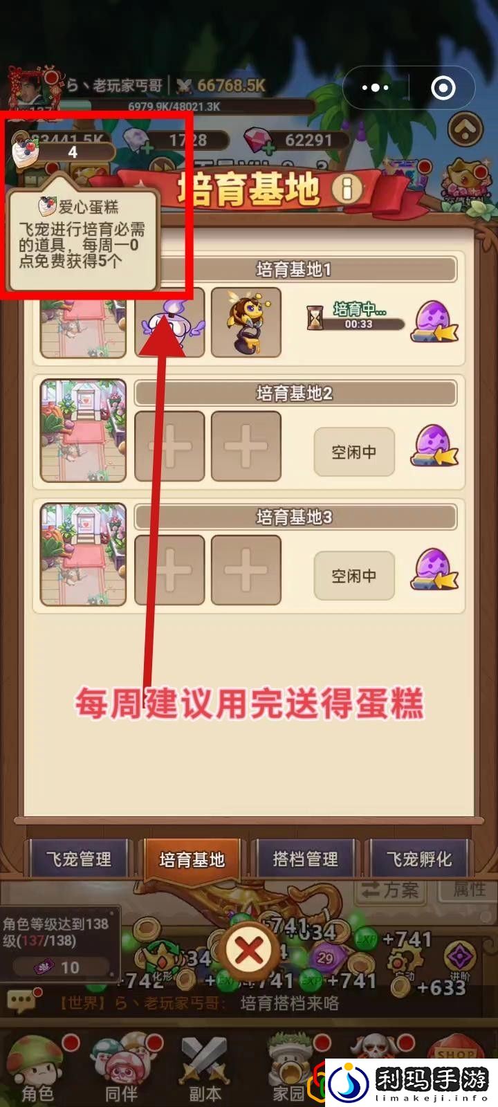 飞宠管理及云缠天梯试炼补充建议 明确自己的角色发挥最大作用