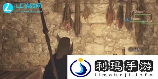 龙之信条2蜥蜴酒在哪里买