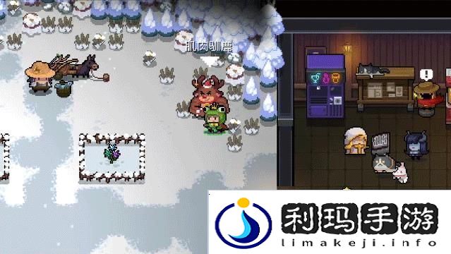 元气骑士限时活动npc有什么用