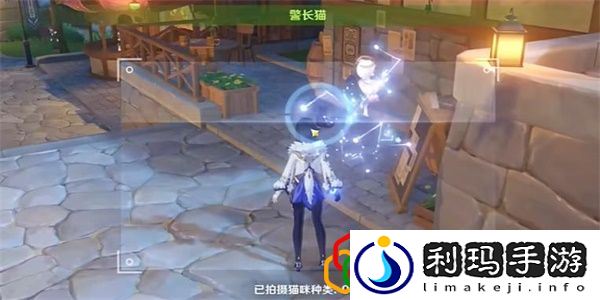 布景取材攻略 稀有材料全获取指南