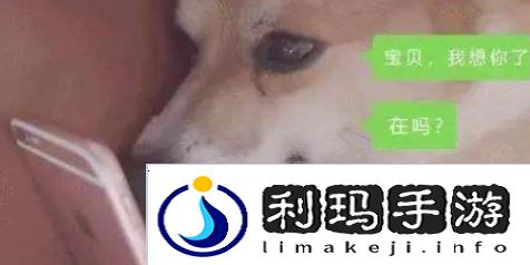 相亲333原则是什么意思