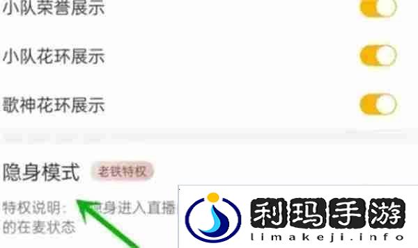 伊对怎么设置隐身模式