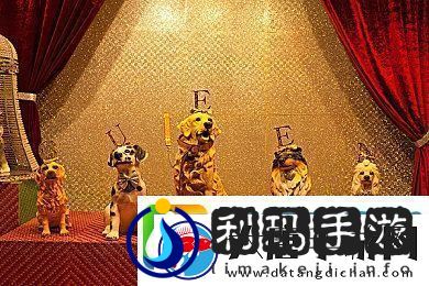 3.0.3免费oppo版大全在线观看