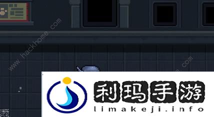 元气骑士2周年特典皮肤大全