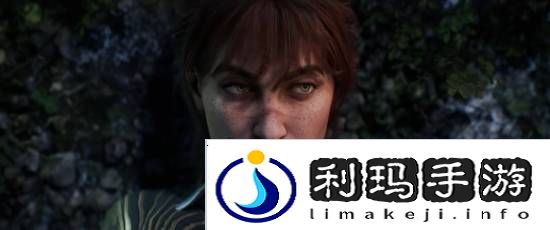 本站