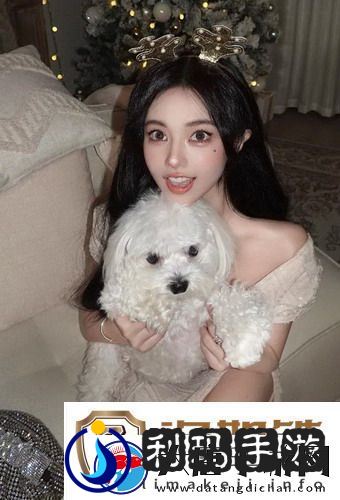 适合夫妻二人看的小众影视剧