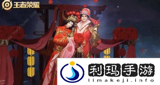 王者荣耀露娜一生所爱皮肤多少钱