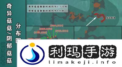 深入解析创造与魔法战宠排名助你打造最强战斗伙伴！