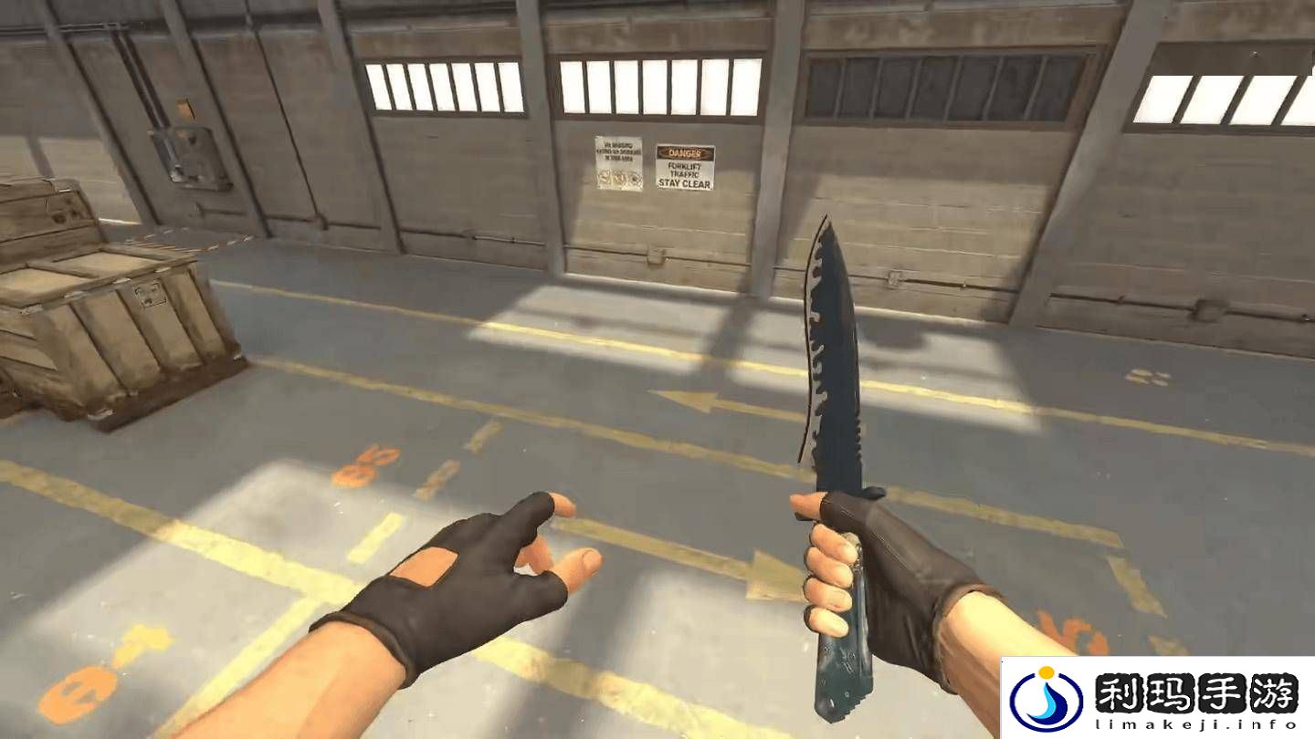 CS