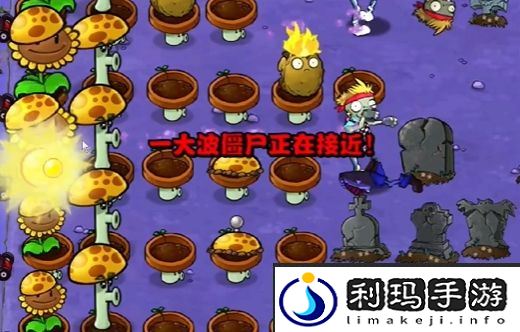 植物大战僵尸杂交版冒险第10关通关攻略-植物大战僵尸杂交版冒险第10关如何通过